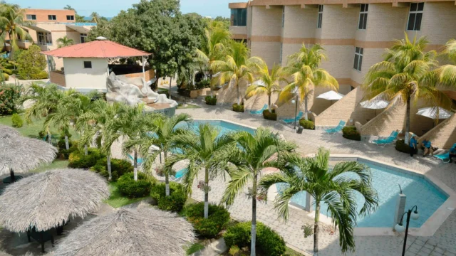 Aerial view of a tropical hotel resort with an outdoor pool, palm trees, sun loungers and thatched palapas