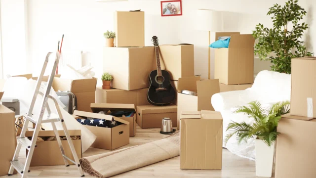 Bright living room filled with cardboard moving boxes, a guitar, stepladder, rolled carpet and houseplants during a home move